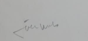 Joe Wols - Lot van drie tekeningen op papier, Landschappen kopen? Bied vanaf 1!