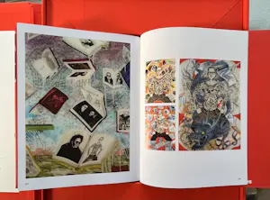 Ed Hardy - Collector's Edition "Beyond Skin" - Uitzonderlijke aanbieding! kopen? Bied vanaf 425!