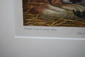 Otto Eerelman - St Bernard met jongen - kleurenlitho 1916 - fraai ingelijst kopen? Bied vanaf 45!