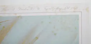 Archibald Thorburn - Houtsnip in de winter - oplage 159/500 - fraai ingelijst - incl. boek! kopen? Bied vanaf 50!