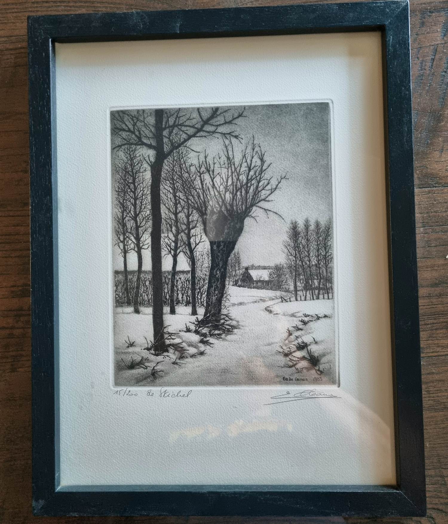 Emiel De Cooman - De Stichel kopen? Bied vanaf 20!