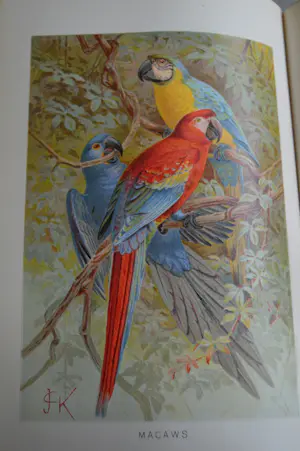 Antiquarisch Boek - The Royal Natural History (6 delen compleet) 1893 kopen? Bied vanaf 175!