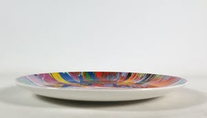 Damien Hirst - Porseleinen bord, Spin Art kopen? Bied vanaf 1!