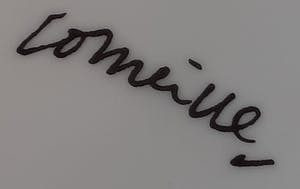 Corneille - vrolijke vogel kopen? Bied vanaf 30!