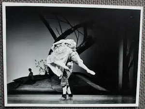 Erwin Olaf - Gelatine silver print kopen? Bied vanaf 195!