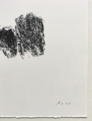 Armando - litho ‘Der Baum’ - 2003 - oplage 30. kopen? Bied vanaf 115!