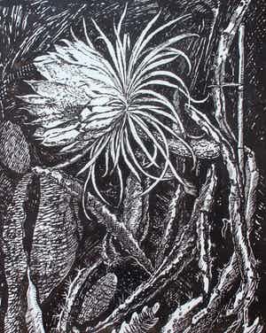 Herman Bieling - Houtsnede: Bloeiende nachtcactus - 1930 + brief Oma (mevrouw)Bieling verkocht voor € 55!