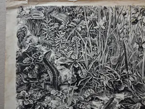 Dirk van Gelder - In memoriam. Natuur. Salamander. kopen? Bied vanaf 49!