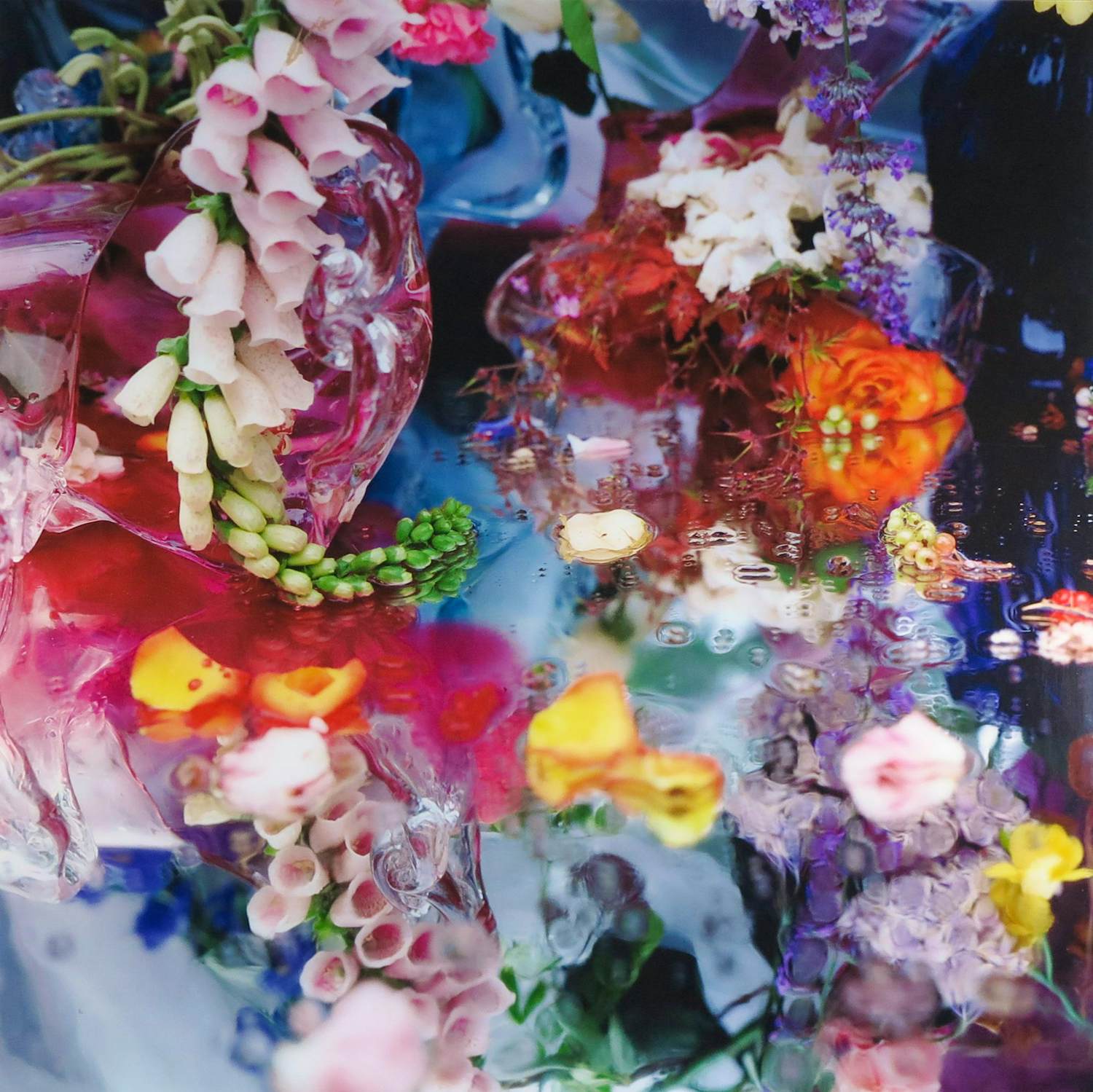 Margriet Smulders - Grote C-Print op dibond, Leda kopen? Bied vanaf 1500!