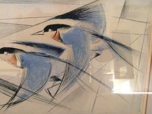 Nicolaas Rin - Vogelvlucht kopen? Bied vanaf 45!