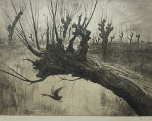 Leon Senf - Landschap met knotwilgen aan het water. kopen? Bied vanaf 20!