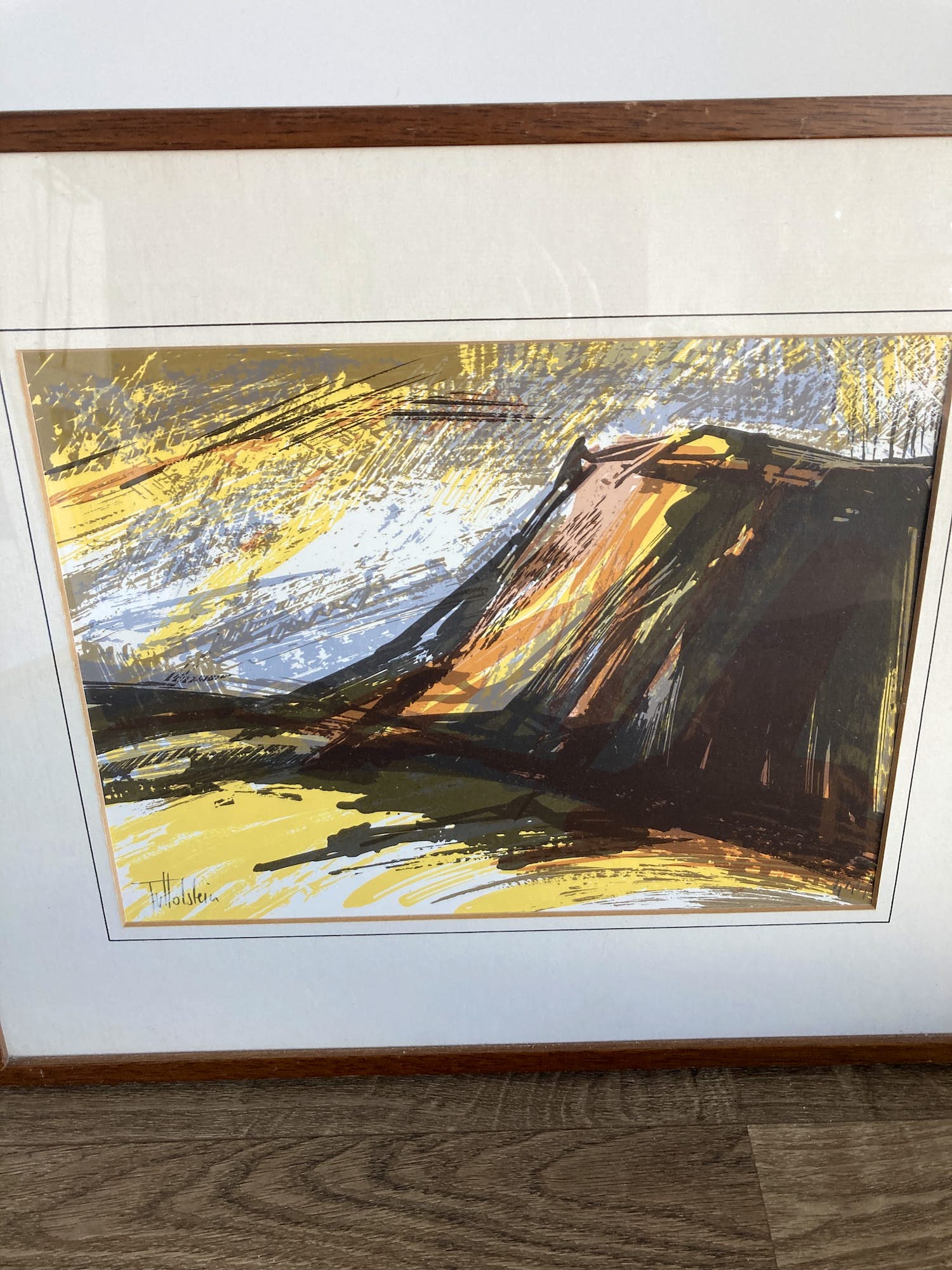 Toos van Holstein - Kleurenzeefdruk z.t. verkocht voor € 40!