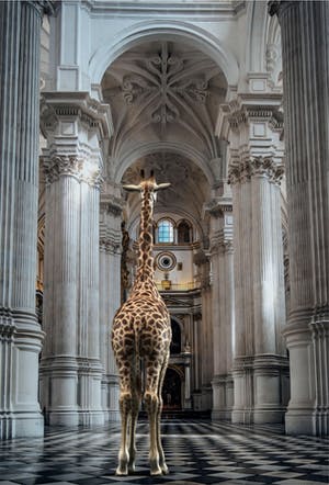 Mr. Strange - Les hautes voûtes kopen? Bied vanaf 50!