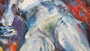 Arien Winkel - Modèle Bleu kopen? Bied vanaf 200!