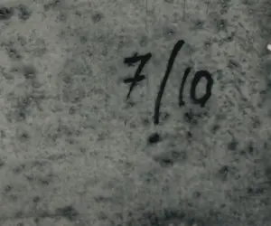 Wim Zurne - Zeefdruk op doek, Paard - Ingelijst (groot) kopen? Bied vanaf 60!