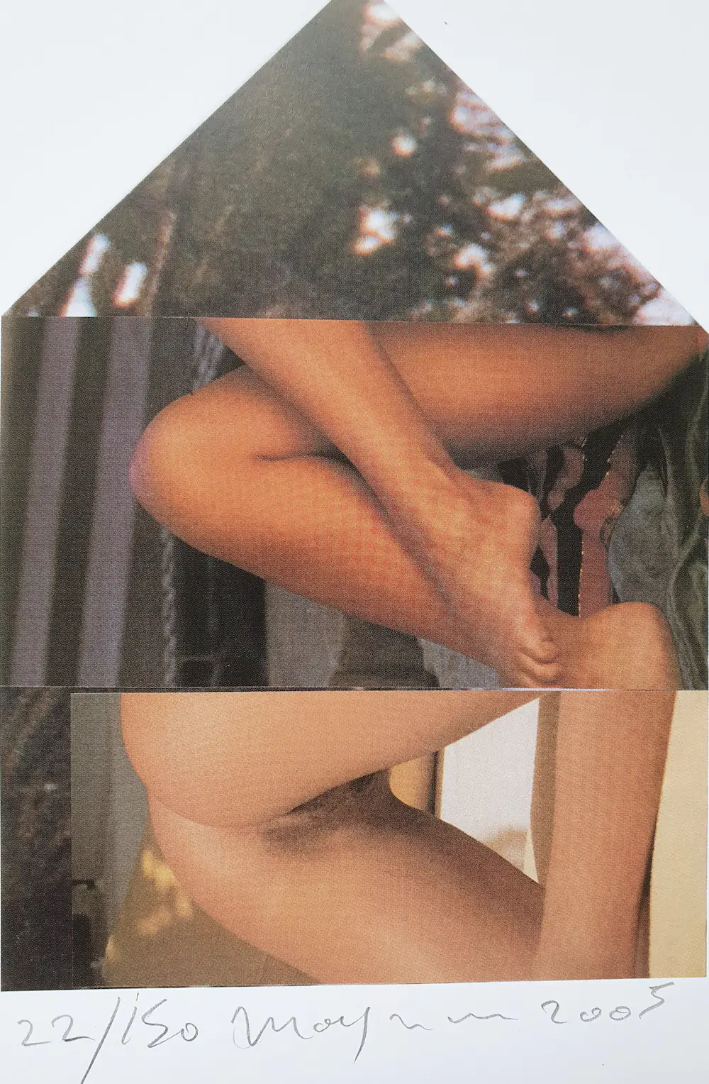 Martin Moesman (1950)