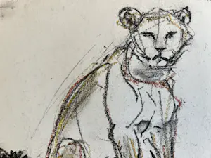 Cornelis Jan Mension - Tekening van een rustende leeuw en leeuwin, gemaakt in Artis kopen? Bied vanaf 85!