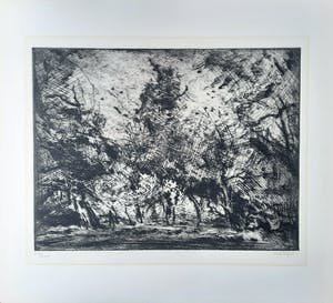 Wim Steijn - Groot Bentveld - Bosrand 112/150 - ets / droge naald kopen? Bied vanaf 25!