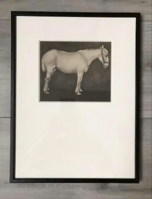 Jan Mankes - Originele Heliogravure Wit Paard 1923 kopen? Bied vanaf 85!
