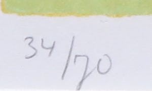 Ardi Brouwer - Litho, Een huis voor de zomer - Ingelijst kopen? Bied vanaf 1!