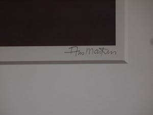 Ans Markus - Leeuw (prachtig ingelijst) kopen? Bied vanaf 160!