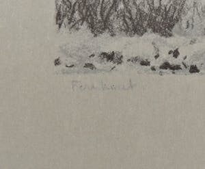 Edgar Fernhout - Wintergezicht kopen? Bied vanaf 75!