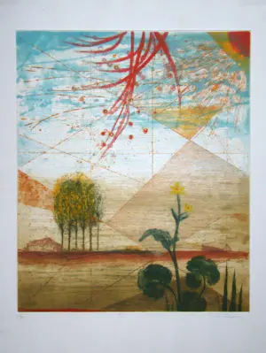 René Carcan - Été - 1980 - Ets met aquatint - Gesigneerd en genummerd kopen? Bied vanaf 180!