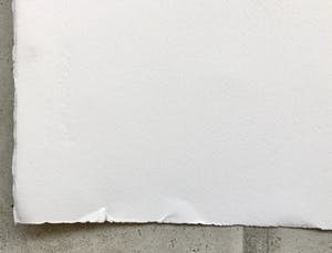 Herman Brood - Torso - Originele Handgesigneerde Zeefdruk kopen? Bied vanaf 1!