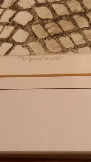 Jan A. Wieringa - de Ertepeller kopen? Bied vanaf 25!