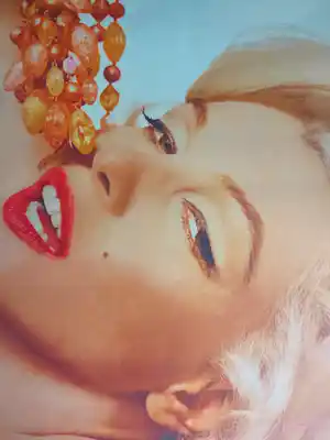 Bert Stern - Marilyn Monroe, The Last Sitting - handgesigneerd, genummerd + certificaat verkauft für € 850!