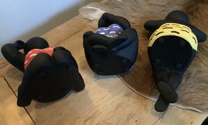 Gertruud Hartog - Horen, Zien en Zwijgen kopen? Bied vanaf 50!