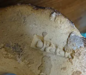 Albert Meertens - Maria en kind in steengoed met zoutkristallen- Beesel Terraco kopen? Bied vanaf 275!