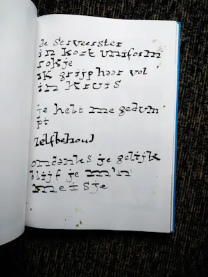 Herman Brood - woedend licht met zeefdruk kopen? Bied vanaf 150!