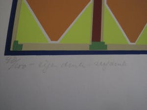 Saul Belem - Grote 1972 Popart zeefdruk - Tiger - eigen druk - gesigneerd kopen? Bied vanaf 30!