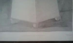 Olphaert den Otter - Naturalis kopen? Bied vanaf 1!