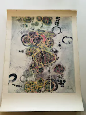 Shoichi Hasegawa - Ombre et Lumière - kleuren-ets met relief kopen? Bied vanaf 240!