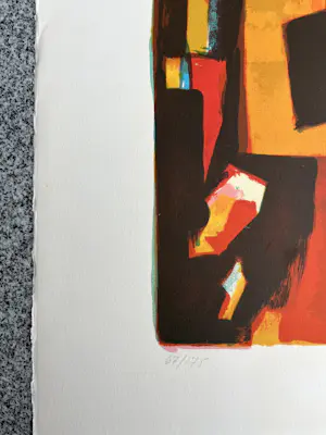 Tony Agostini - Gesigneerde kleurenlitho - 67/175 kopen? Bied vanaf 95!