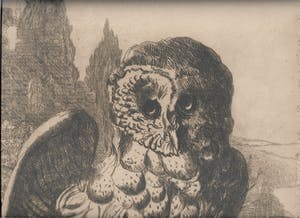 Cornel Kwint - Torenuil kopen? Bied vanaf 35!