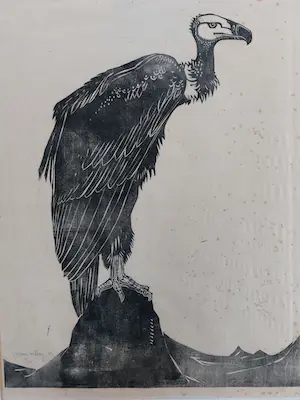 Willem van den Berg - Houtsnede Gier kopen? Bied vanaf 60!