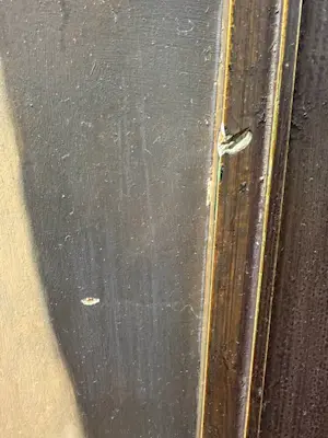 Werner Van Hoylandt - Onbekend kopen? Bied vanaf 200!