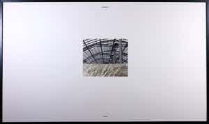 Mark Luyten - Foto, Serre IV - Ingelijst (Groot) verkocht voor € 50!