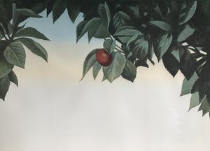 Jean Paul Vroom - Cherry kopen? Bied vanaf 100!