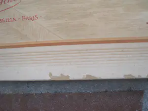 Frederique Valet-Bison - Elegantes kopen? Bied vanaf 30!