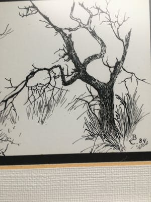 Niet of onleesbaar gesigneerd - Boom alleen. kopen? Bied vanaf 1!