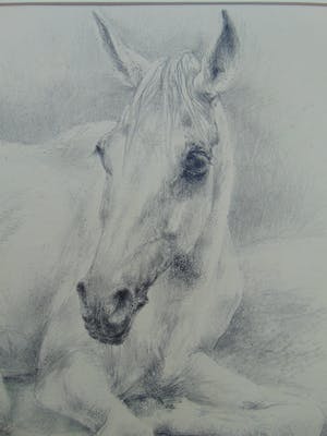 Piet Klaasse - Rustend paard kopen? Bied vanaf 55!