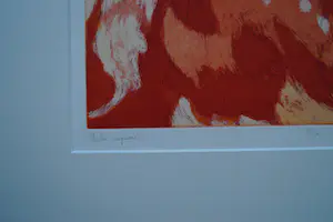 Toni de Klerk - Bubo cupeustion kopen? Bied vanaf 45!