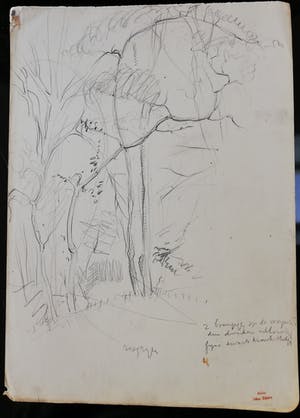 Johan Dijkstra - Potloodschets kopen? Bied vanaf 60!