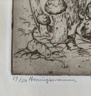 Johan Hemkes - Honingzwammen kopen? Bied vanaf 40!