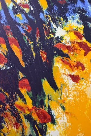 Mattie Schilders - Vormende handen van de evolutie - Ingelijst - Groot kopen? Bied vanaf 1!