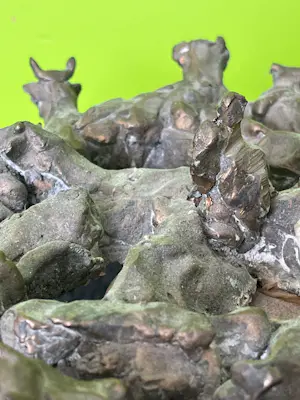 Dolf Wong Lun Hing - Herder met kudde koeien kopen? Bied vanaf 150!